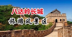 男女插逼免费视频中国北京-八达岭长城旅游风景区
