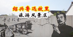 插b视频免费在线观看中国绍兴-鲁迅故里旅游风景区